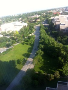 Our view of The Hospital Hill from our room in the Sheraton. Sleeping on hills is what gives me my Hill Master powers.