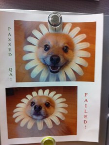 QA will test a ticket and pass it or fail it. If you want your ticket to pass, it helps to include Testing Instructions. True story.